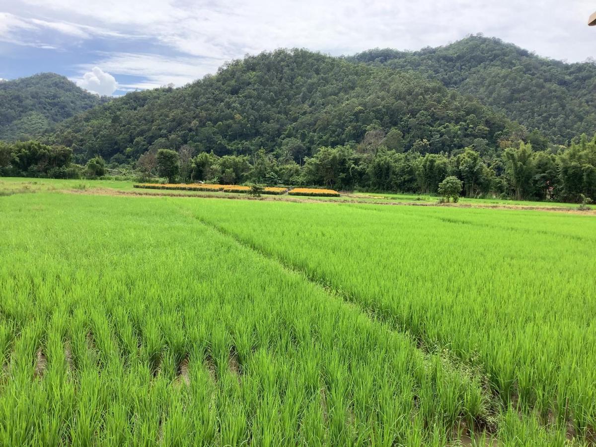 บ้านสวนวิวทุ่ง Ban Mae Sap Nua Ngoại thất bức ảnh
