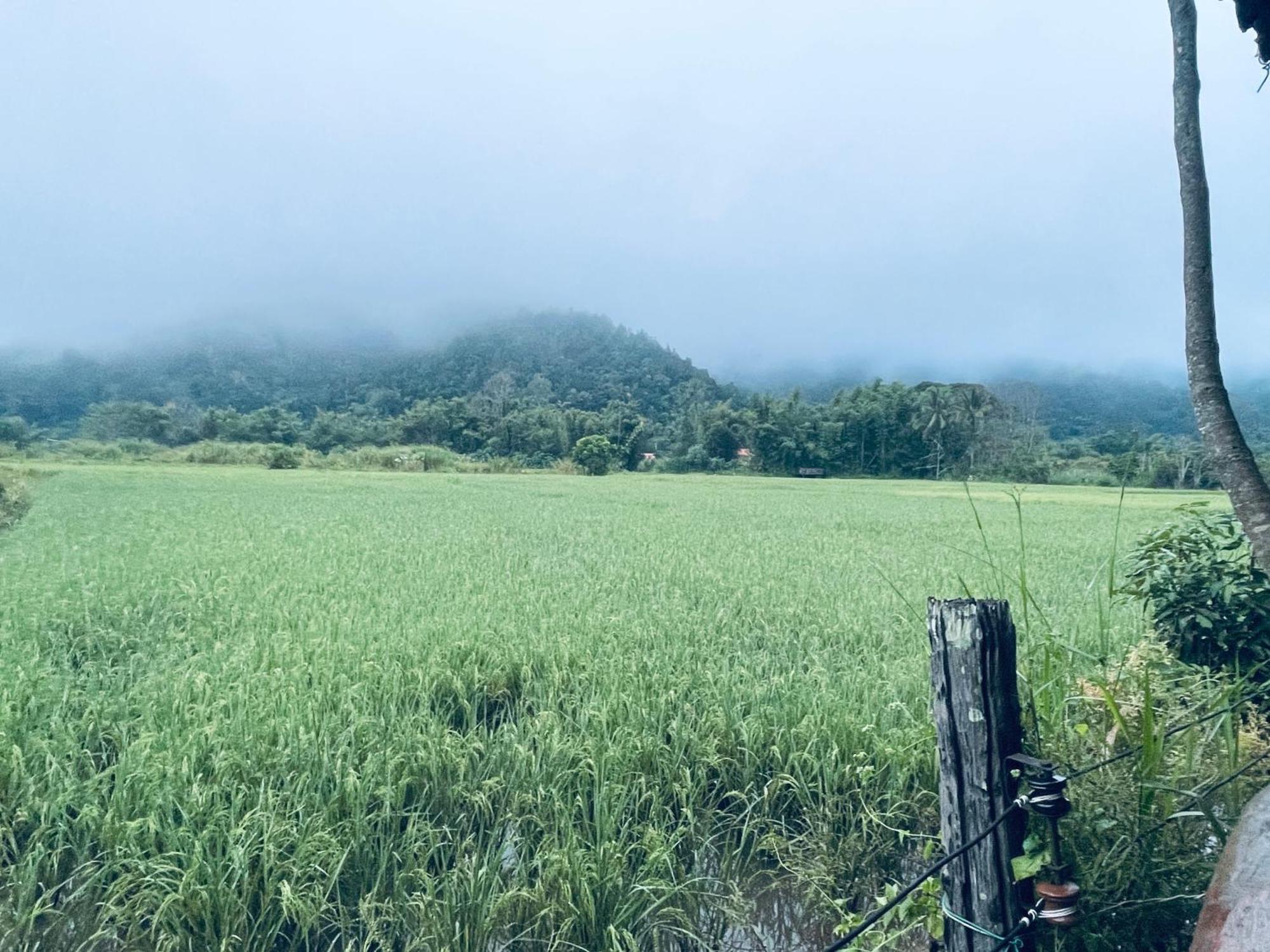 บ้านสวนวิวทุ่ง Ban Mae Sap Nua Ngoại thất bức ảnh