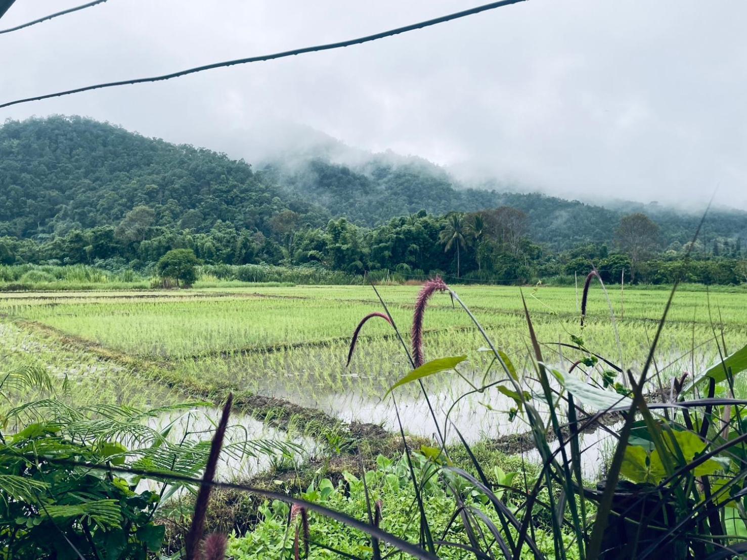 บ้านสวนวิวทุ่ง Ban Mae Sap Nua Ngoại thất bức ảnh