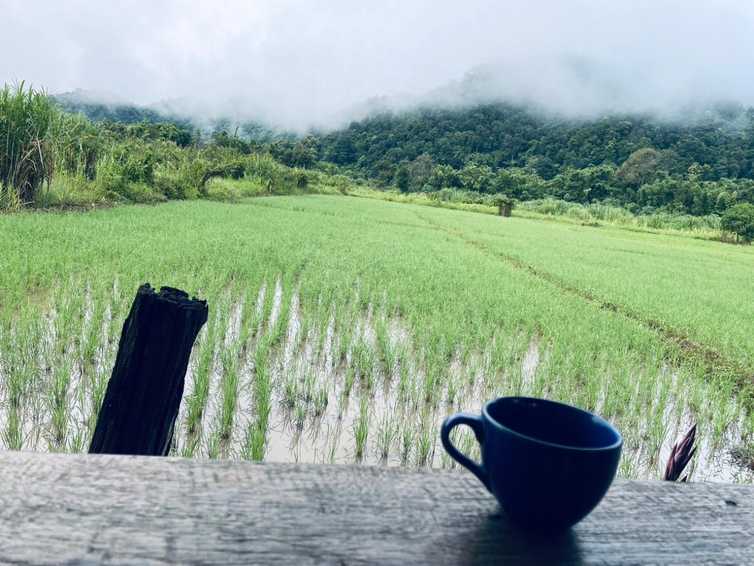 บ้านสวนวิวทุ่ง Ban Mae Sap Nua Ngoại thất bức ảnh