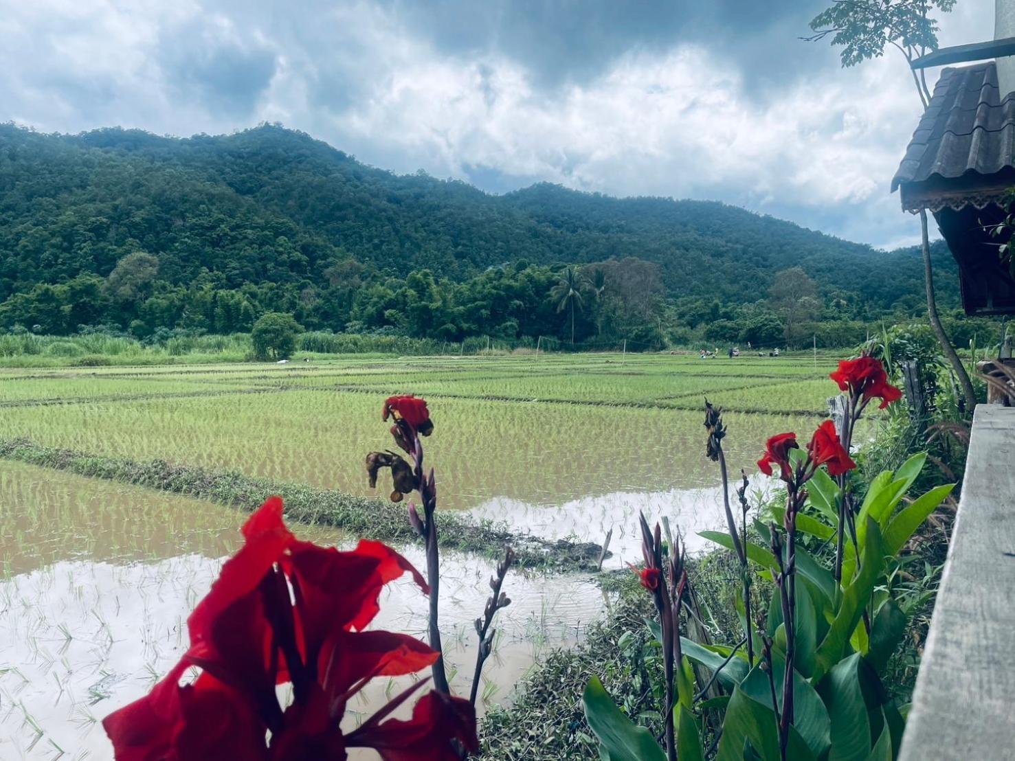 บ้านสวนวิวทุ่ง Ban Mae Sap Nua Ngoại thất bức ảnh