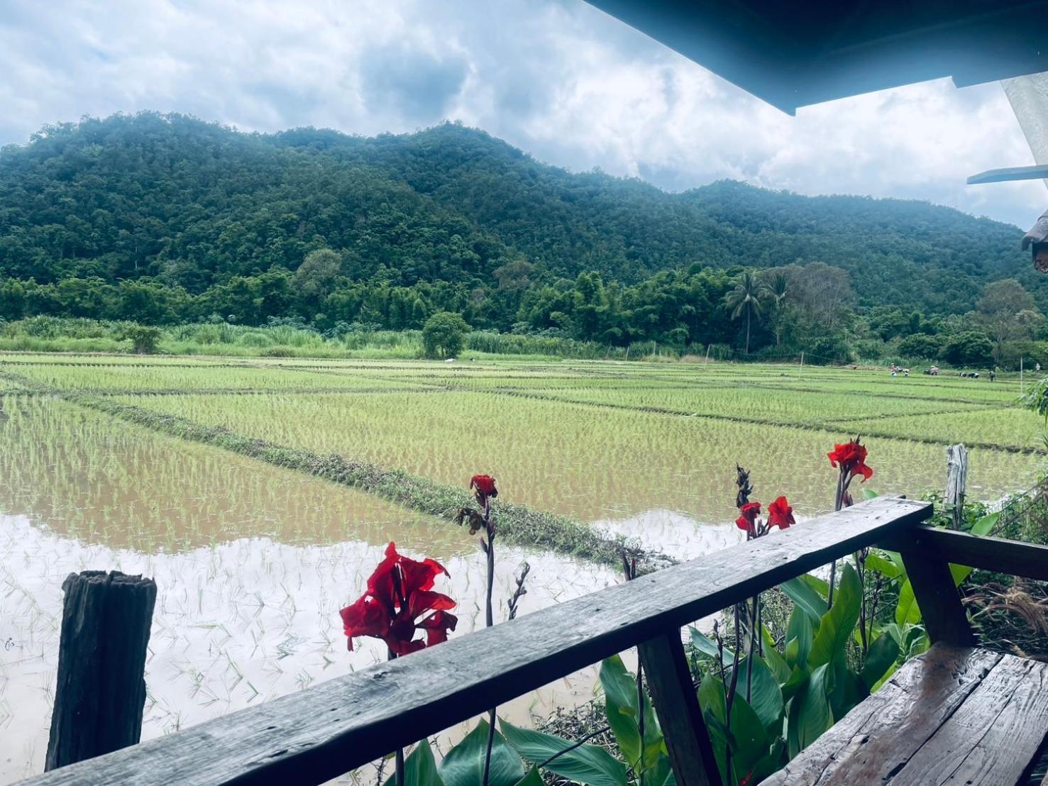 บ้านสวนวิวทุ่ง Ban Mae Sap Nua Ngoại thất bức ảnh