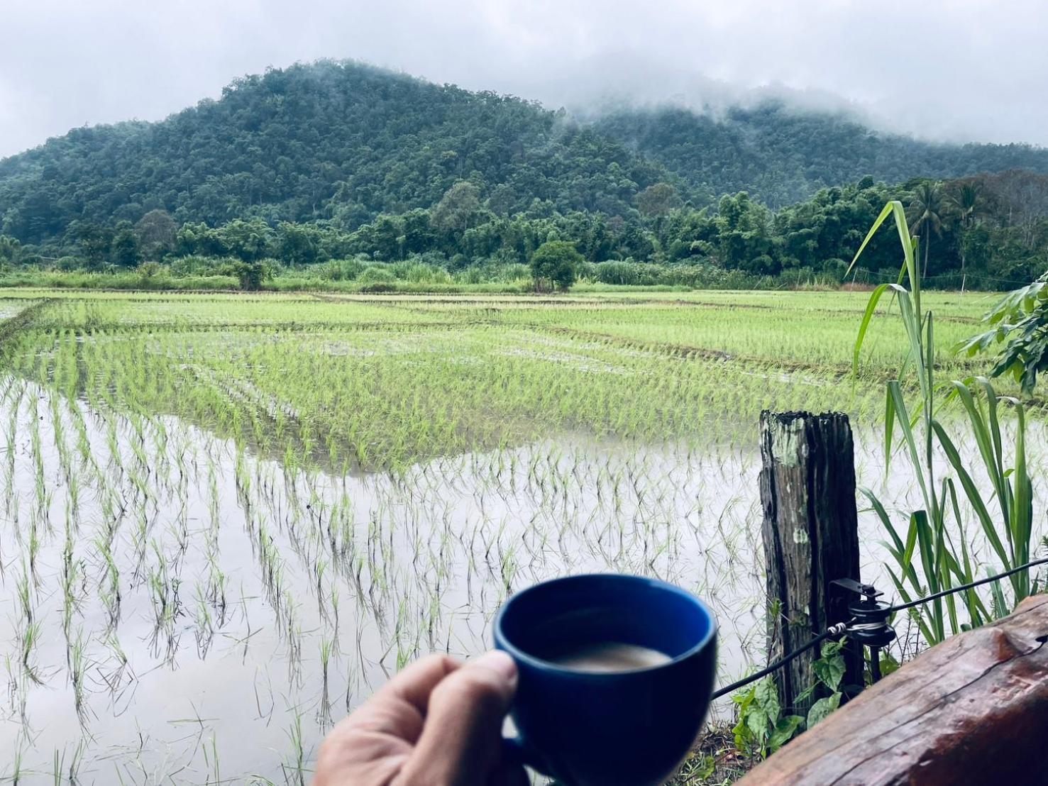 บ้านสวนวิวทุ่ง Ban Mae Sap Nua Ngoại thất bức ảnh