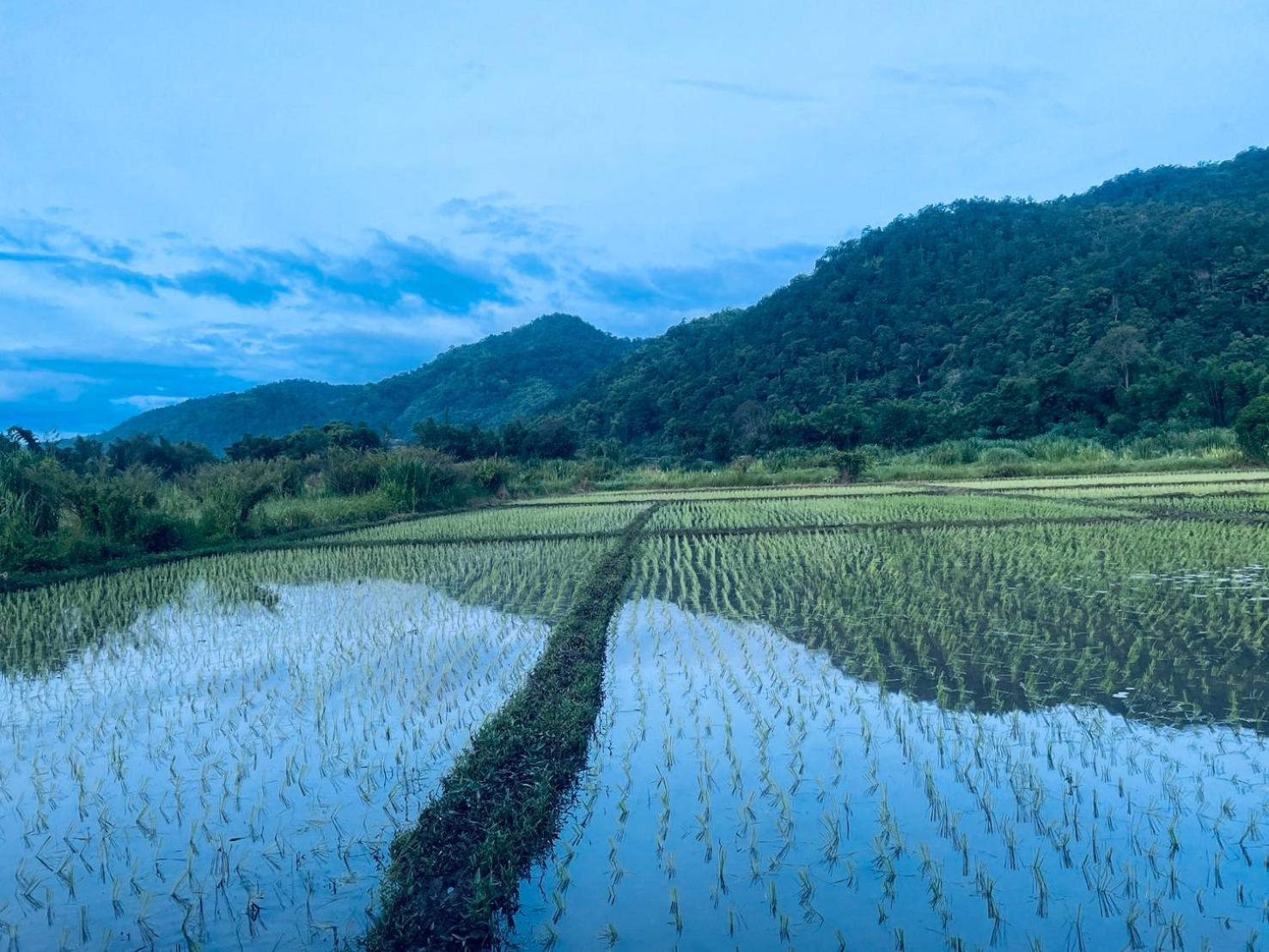 บ้านสวนวิวทุ่ง Ban Mae Sap Nua Ngoại thất bức ảnh
