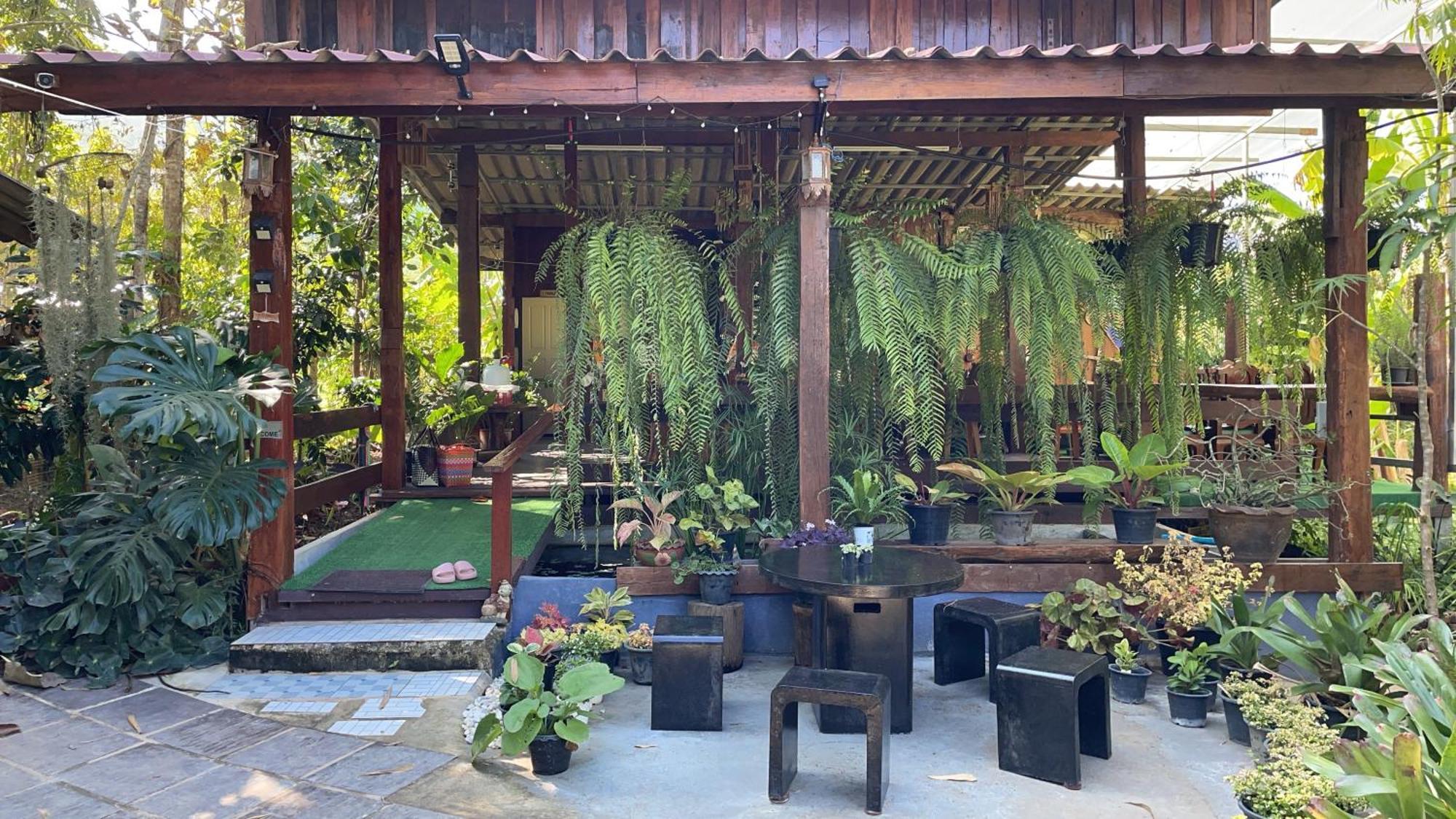 บ้านสวนวิวทุ่ง Ban Mae Sap Nua Ngoại thất bức ảnh