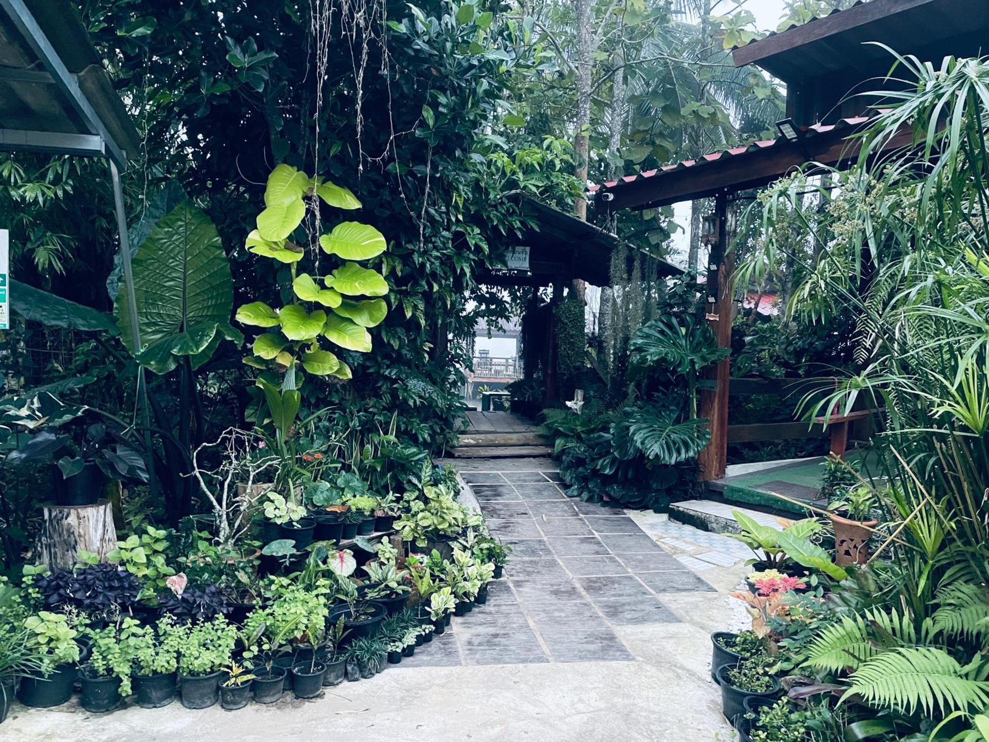 บ้านสวนวิวทุ่ง Ban Mae Sap Nua Ngoại thất bức ảnh
