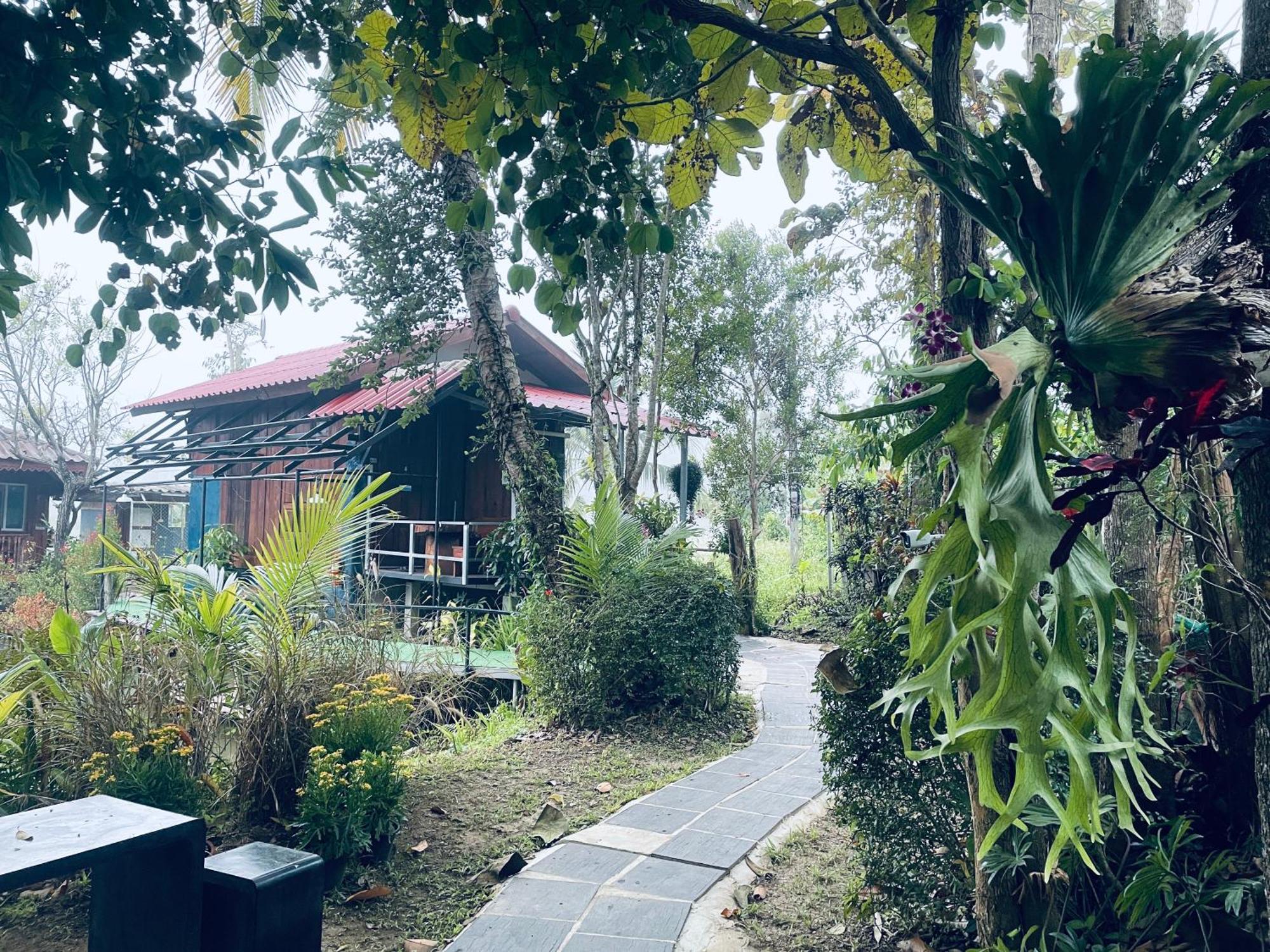บ้านสวนวิวทุ่ง Ban Mae Sap Nua Ngoại thất bức ảnh